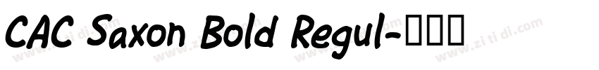 CAC Saxon Bold Regul字体转换